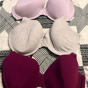 Fruit of the Loom Women's Bra Set - Purple, Gray, Plum. XXL/2X